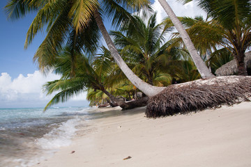 Dominican Republic Caribbean Coastline tropical beach