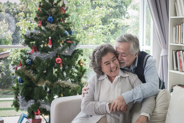 Fototapeta premium Couple of love elderly man and woman happy with smile and hugging together in living room that decorated with Christmas tree for Christmas festival holiday concept