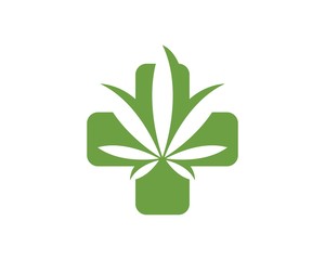 Fototapeta na wymiar cannabis leaf vector icon illustration design