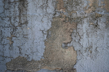 texture of old wall