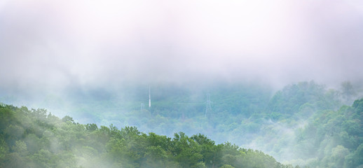 Fog in the dense green forest on the top of the hill. Power lines in the mountains.