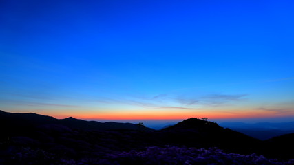 아름다운 일출이 보이는 풍경