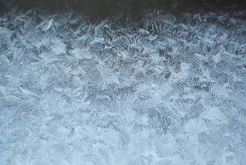 Obraz premium 結氷の模様