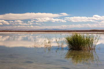 Fototapeta premium Cloudy view on a mountain lake. Mongolia mirror surface