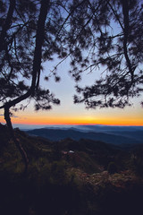 sunset and twilight light in the forest on the mountain