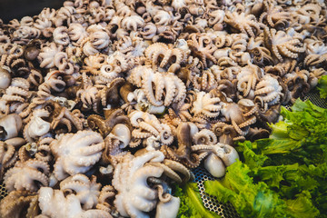 Squid is ready for cooking. There are many, many tastes.