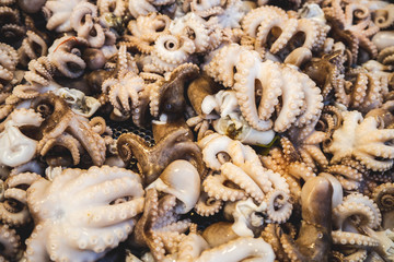 Squid is ready for cooking. There are many, many tastes.