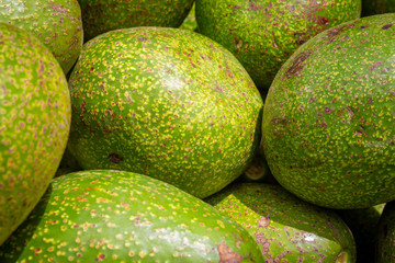 Healthy fruit avocado