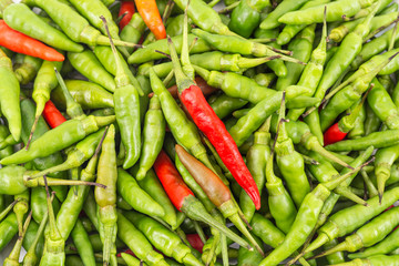 A set of fresh mixed red and green hot and spicy bird-chilli close up with fine detail