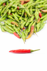 A red hot bird-chilli set in front of others blur background