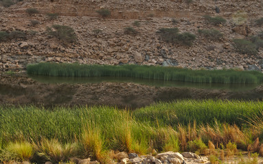 Scenic wadi landscape in Oman