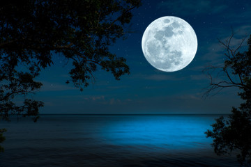 Bright full moon over sea in the dark night.