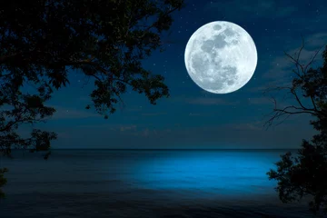Fototapete Vollmond Bright full moon over sea in the dark night.