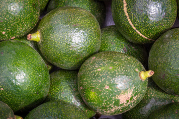 Healthy fruit avocado