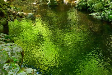 赤目四十八滝　初夏の渓流の情景＠三重県