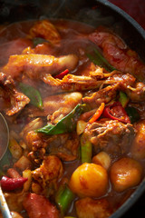 Korean spicy chicken hot pot 