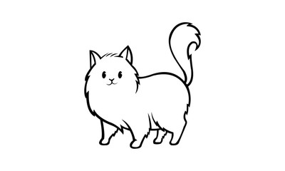 the cat