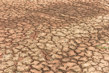 Land with dry and cracked ground.