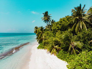 Pristine tropical beach with palm trees, blue water and white sand