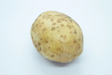 Potato tuber located on a white background