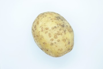 Potato tuber located on a white background