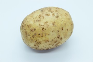 Potato tuber located on a white background