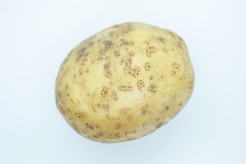 Potato tuber located on a white background
