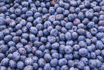 Fresh blueberry. Top view. Concept of healthy and dieting eating.