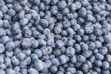 Fresh blueberry. Top view. Concept of healthy and dieting eating.