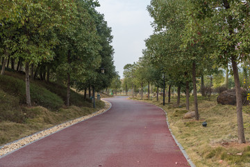 Fototapeta na wymiar View of a curved asphalt runway in the park woods