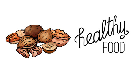 Healthy food. Cartoon nuts and lettering. Hazelnut, pecan and walnut with quote on white background. Vector horizontal card for menus, articles, cards and your design.