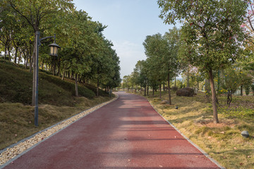 View of a curved asphalt runway in the park woods