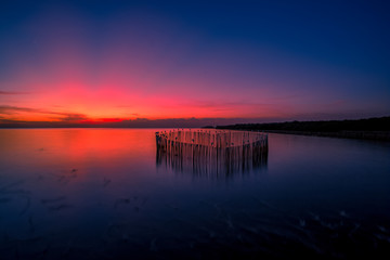 The blurred abstract background of the seagulls flying with the twilight light in the evening, and a multitude of birds on the branch while watching the evening.