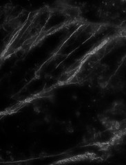 Black marble natural pattern for background, abstract black and white