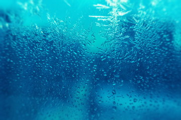 Fototapeta premium Ice freezes on glass in the cold winter season. Beautiful blue patterns left by frost on the window create the atmosphere of the New Year or Christmas holiday or other event.