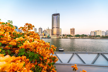 view of city of brisbane