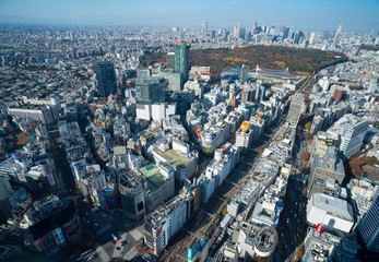 東京風景　渋谷スカイから望む　新宿方面　紅葉　2019年12月