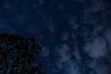 Sternenhimmel mit Baum © Digitalpress