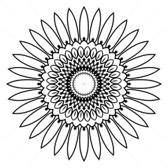 Elegant premium ornament vector logotype symbol