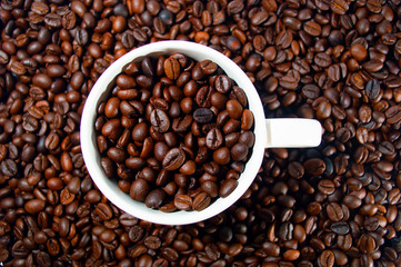 Fototapeta premium coffee bean in white cup