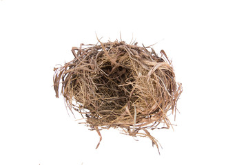 Empty bird nest isolated on white background