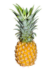 ripe pineapple isolate on white background