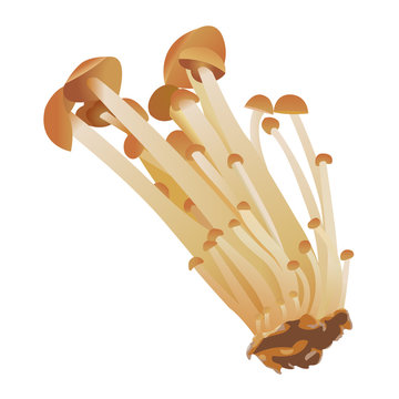 recommend clip art: 山えのき