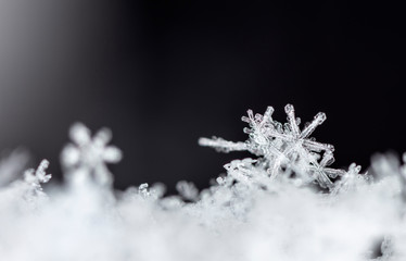 winter card, crystals of snow