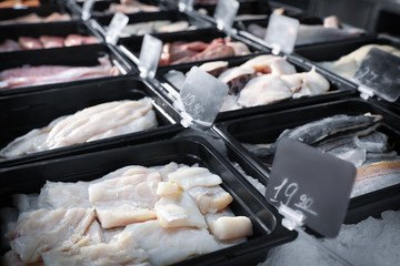 Different types of fresh fish on display with ice. Wholesale market
