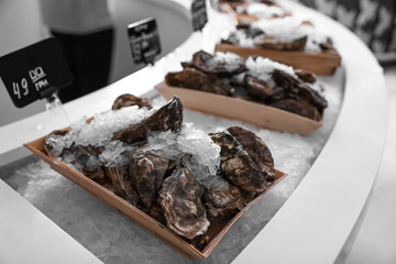 Fresh oysters with ice on display. Wholesale market