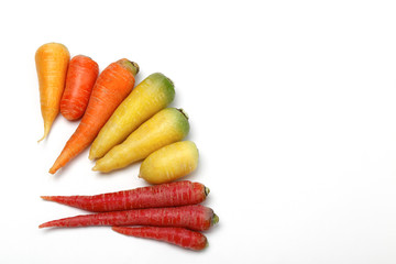 白地にカラフルなニンジン