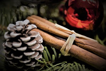 cinnamon sticks and anise on wooden background