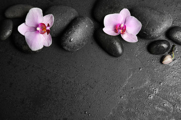 Fototapeta na wymiar Stones with orchid flowers and space for text on wet black background, flat lay. Zen lifestyle