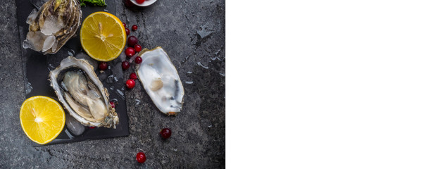 fresh oysters in stone slate with ice, cranberries, lemon slices, delicatessen expensive food, rich in zinc, antioxidants, vitamin